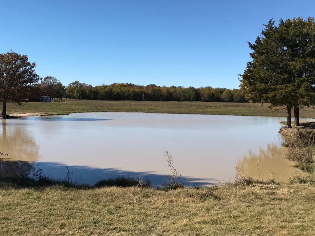 Overview of 94.18 acre timberland in Franklin County, Texas