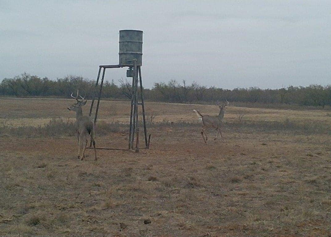213 acre hunting land in Hardeman County, Texas