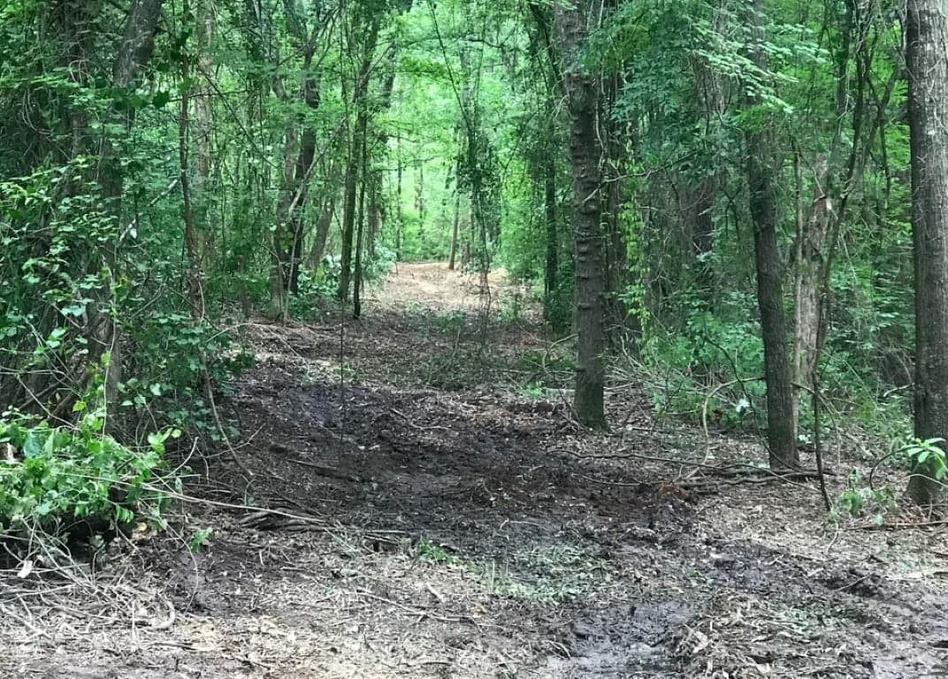 65.13 acre hunting land in Red River County, Texas