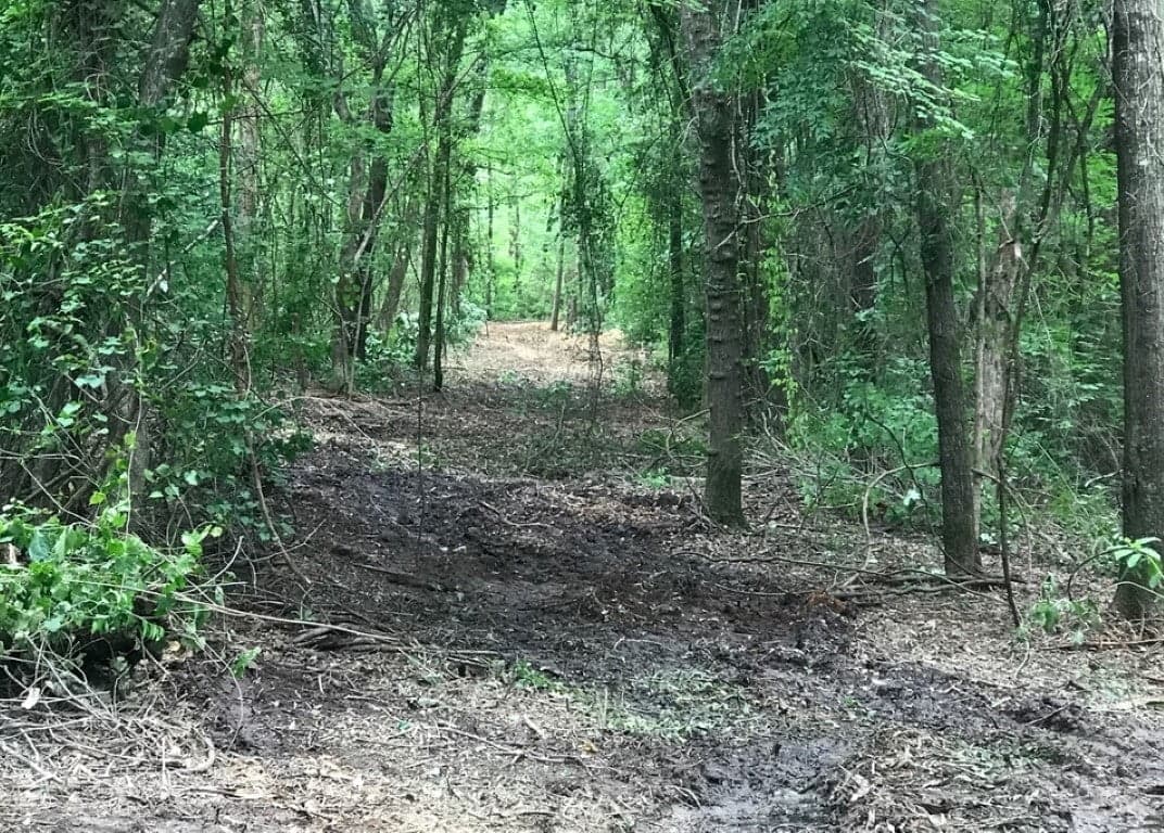 Overview of 65.13 acre hunting land in Red River County, Texas