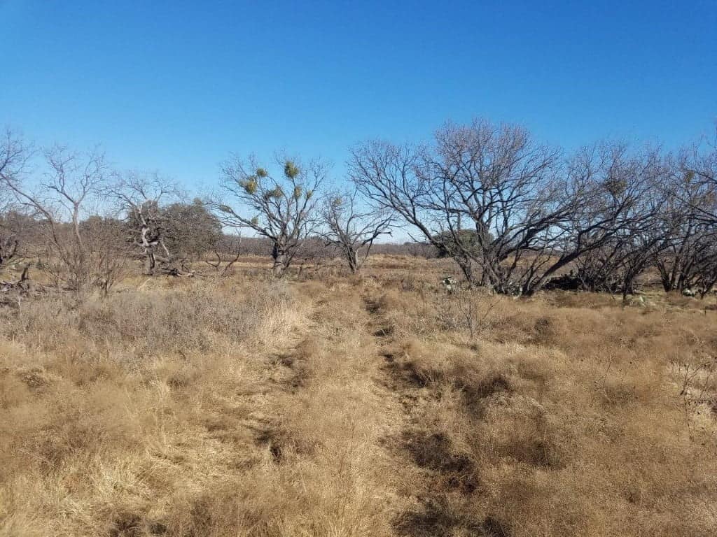 80 acre ranch in Young County, Texas