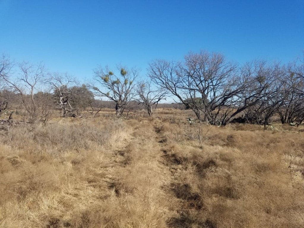 Overview of 80 acre ranch in Young County, Texas