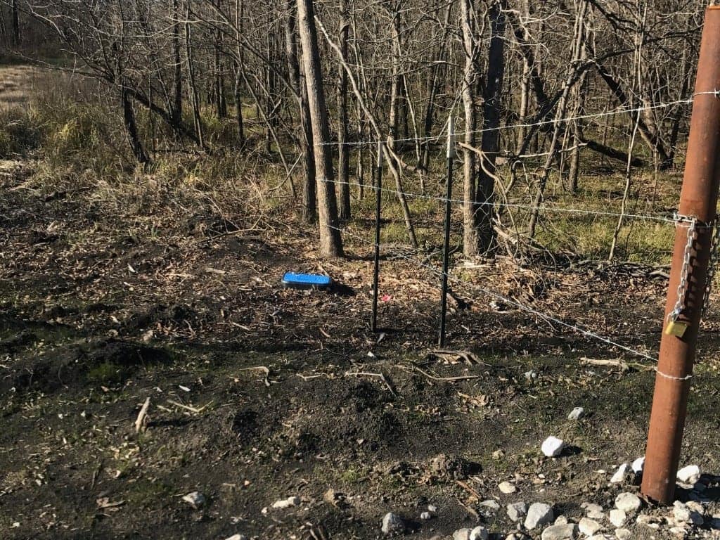 152 acre hunting land in Red River County, Texas
