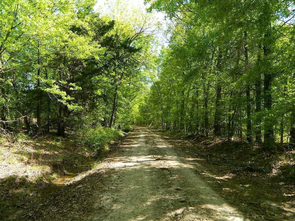 51.86 acre timberland in Red River County, Texas