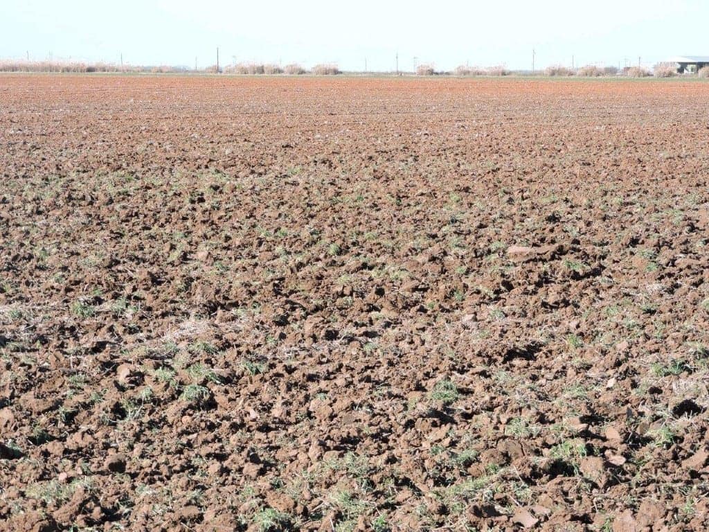 163 acre farm in Baylor County, Texas
