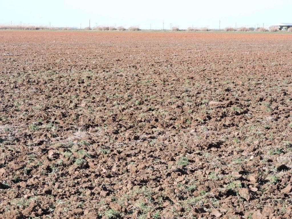 Overview of 163 acre farm in Baylor County, Texas
