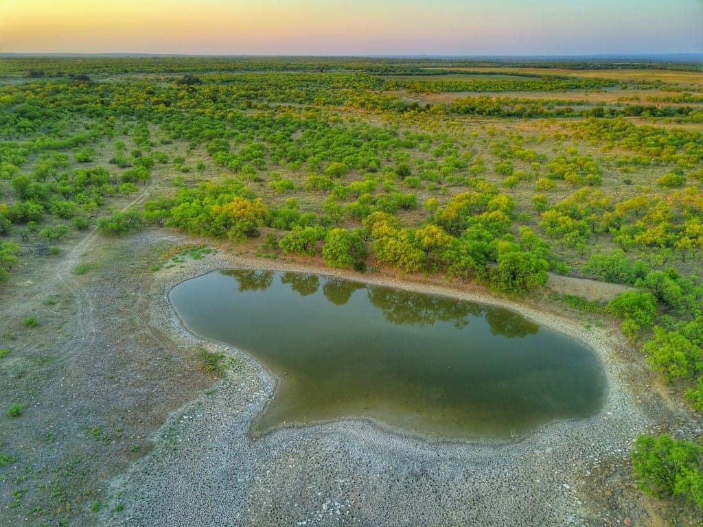640 acre hunting land in Callahan County, Texas