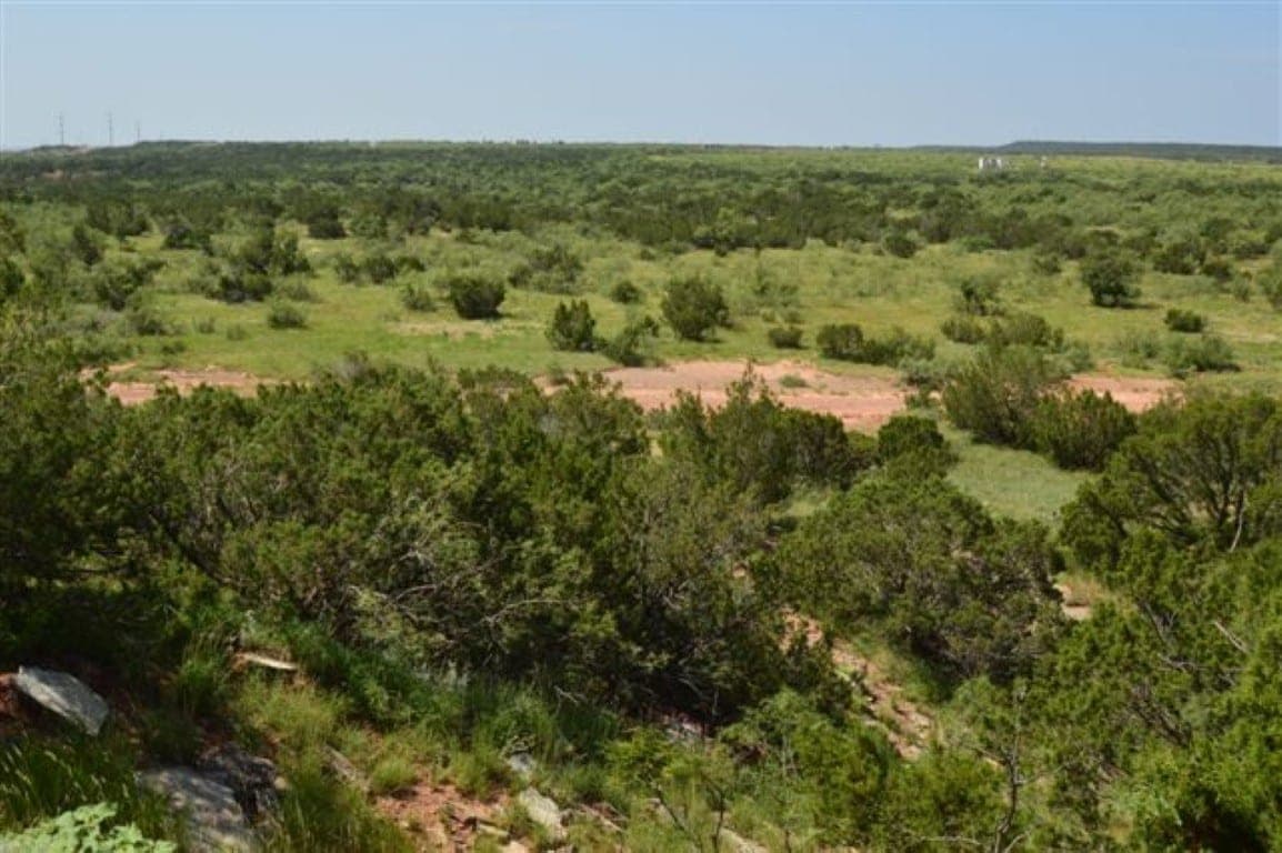 Overview of 679 acre hunting land in Hardeman County, Texas