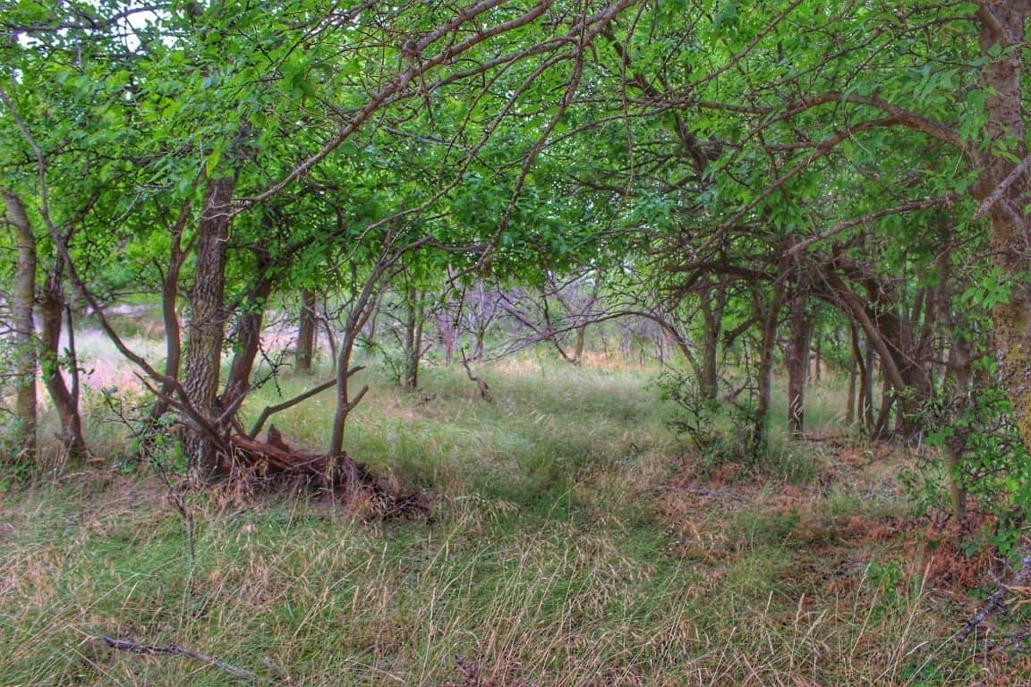 691 acre farm in Hardeman County, Texas