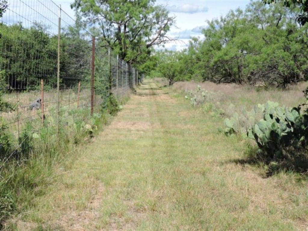 Stephens County Texas land with native pasture