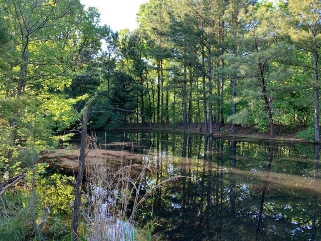 42.33 acre ranch in Red River County, Texas