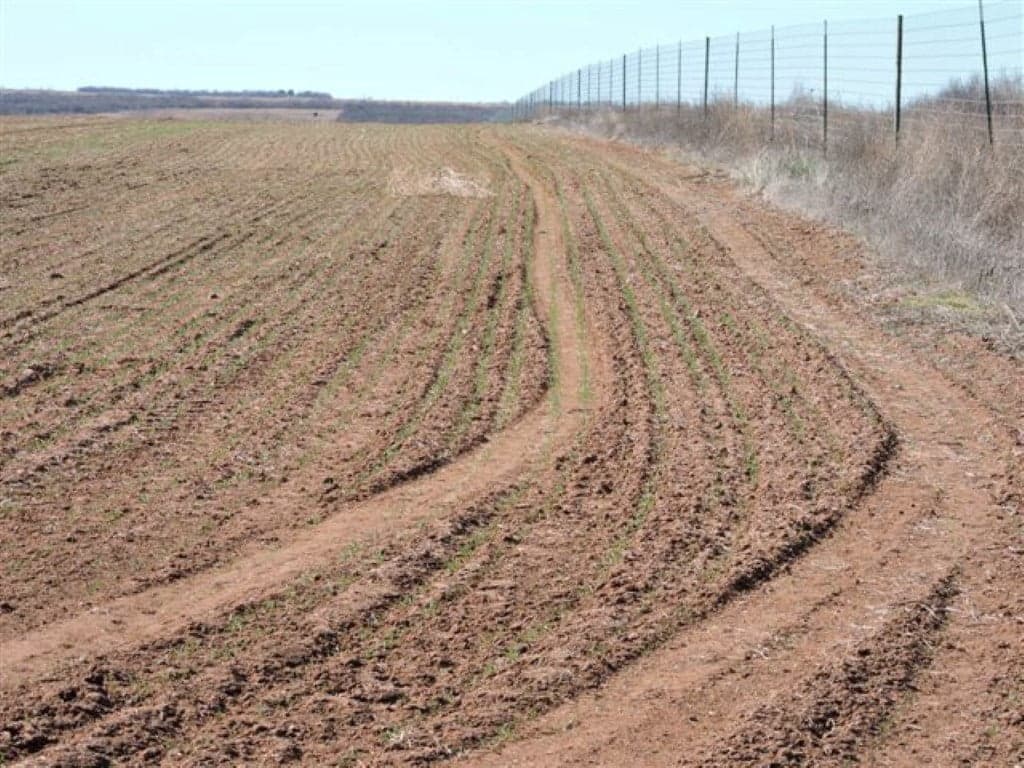 Overview of 70.27 acre farm in Knox County, Texas