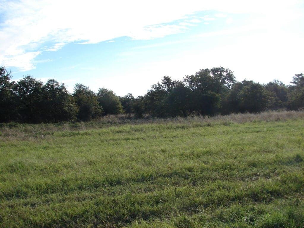 234 acre ranch in Callahan County, Texas