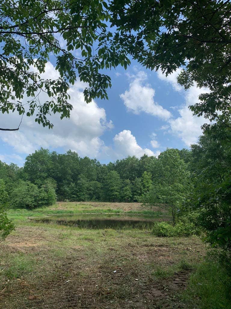 20 acre hunting land in Lamar County, Texas