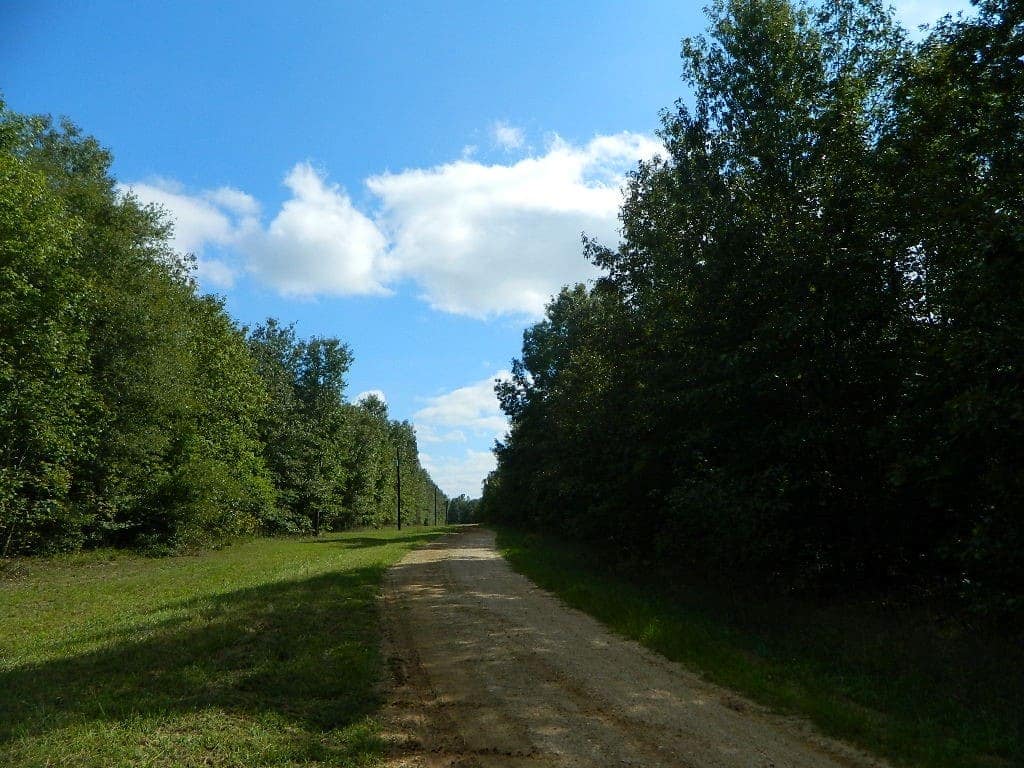 66 acre hunting land in Red River County, Texas