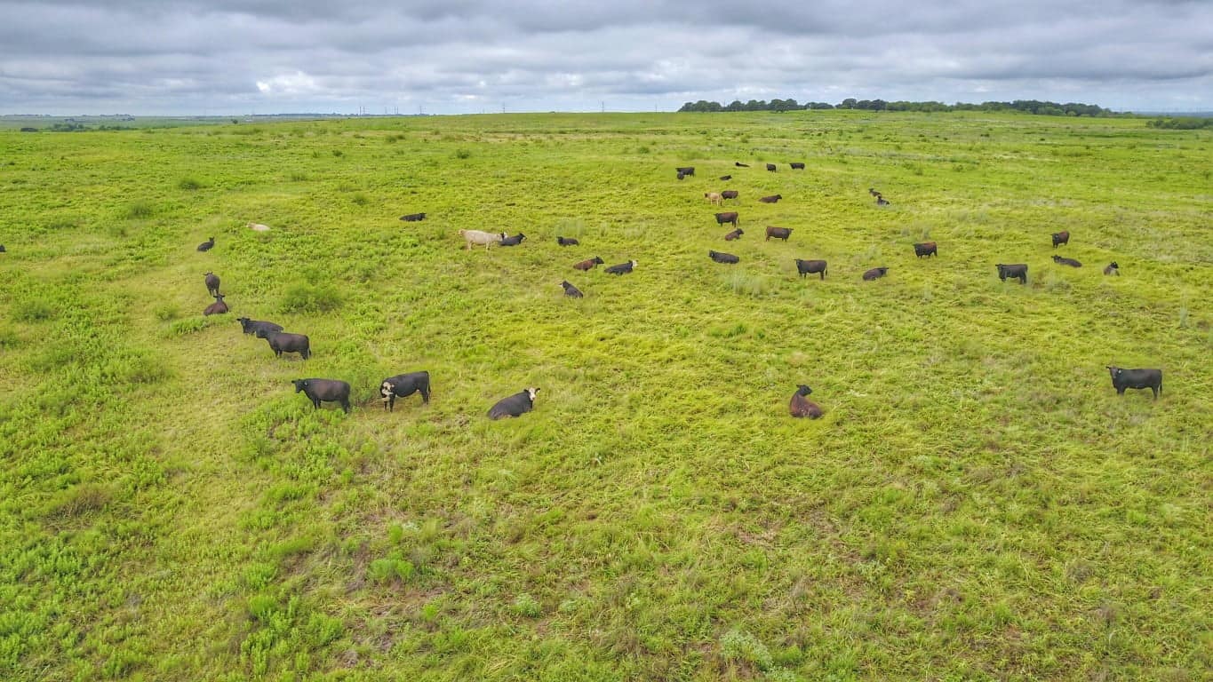 300 acre ranch in Montague County, Texas