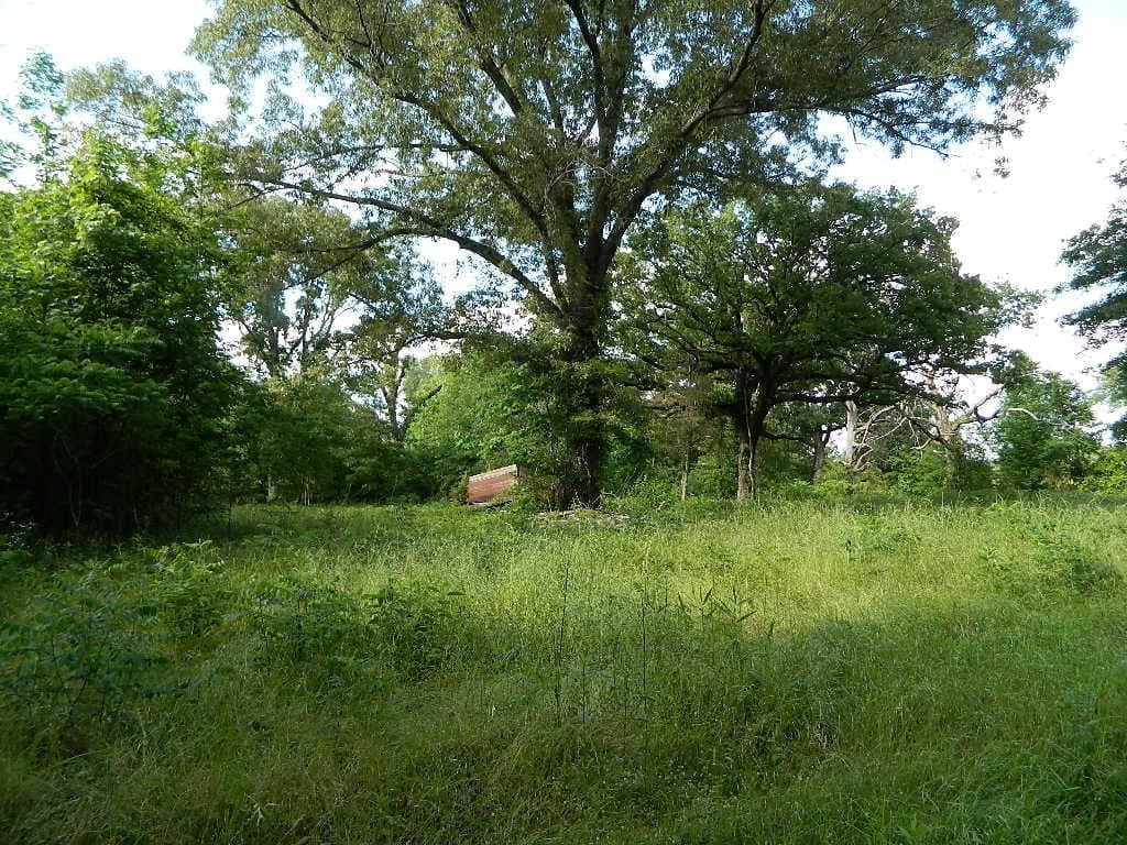 11.3 acre timberland in Bowie County, Texas