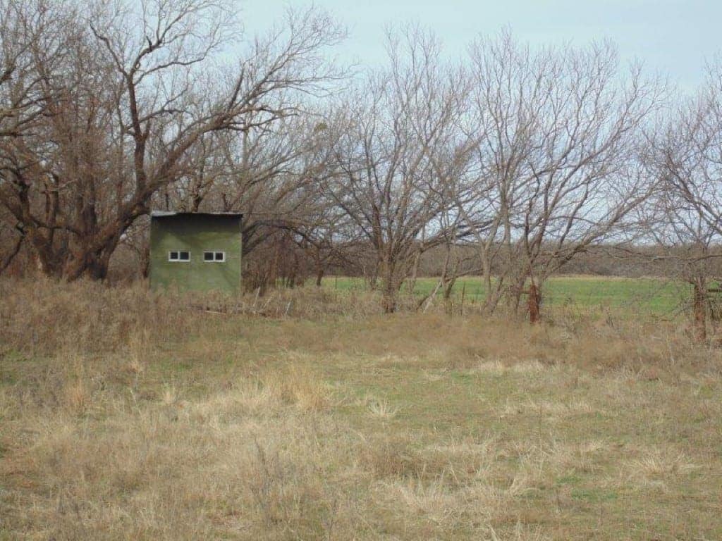 170 acre hunting land in Jones County, Texas