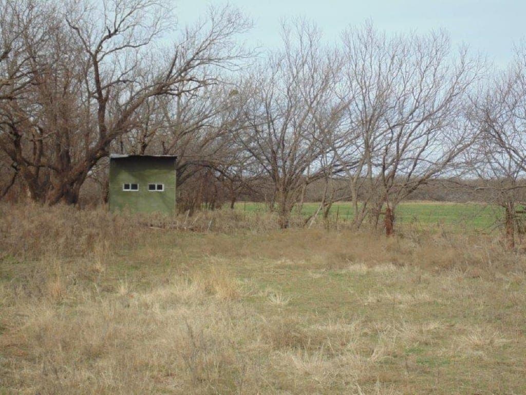 Overview of 170 acre hunting land in Jones County, Texas