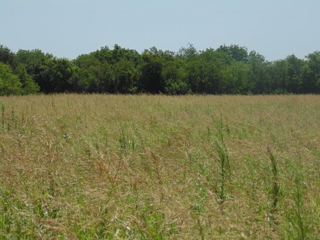 Overview of 10 acre ranch in Taylor County, Texas