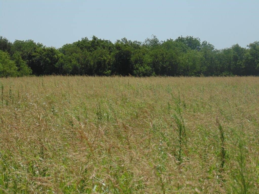10 acre ranch in Taylor County, Texas