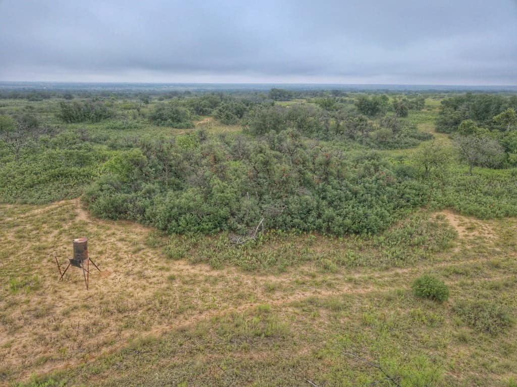 640 acre timberland in King County, Texas