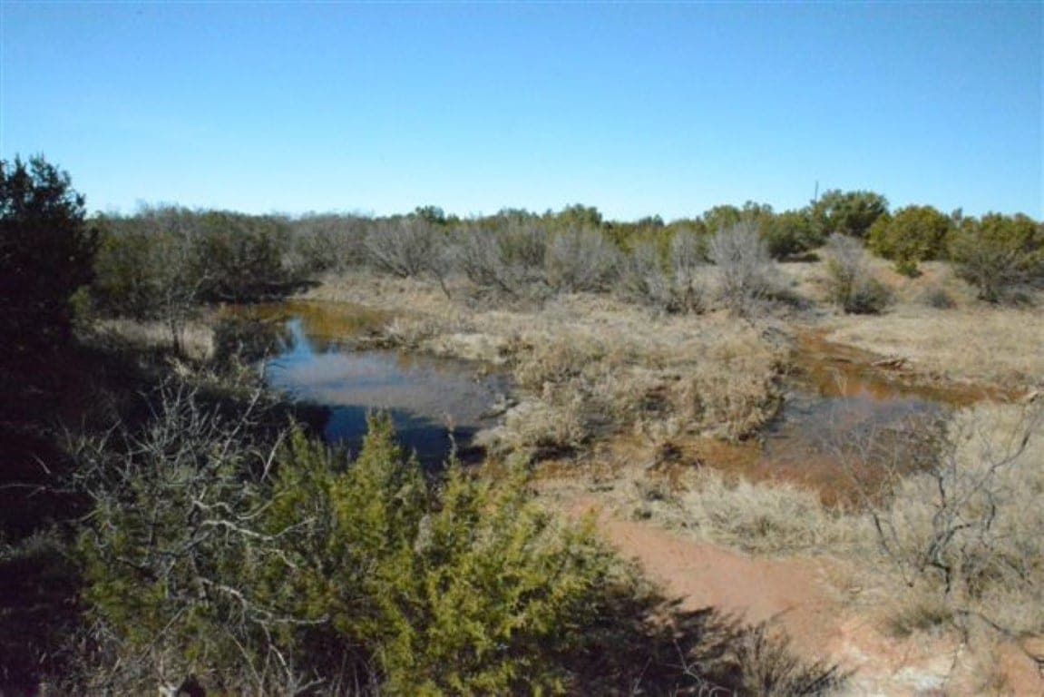 Overview of 146 acre hunting land in Foard County, Texas