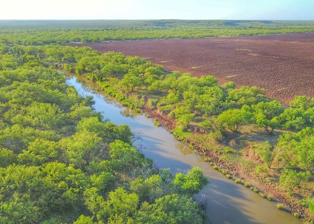 Overview of 359 acre hunting land in Baylor County, Texas