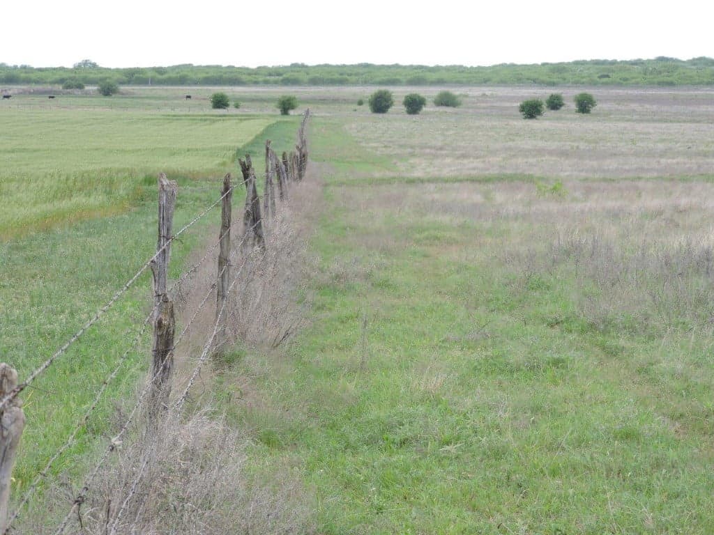 Overview of 20 acre ranch in Clay County, Texas