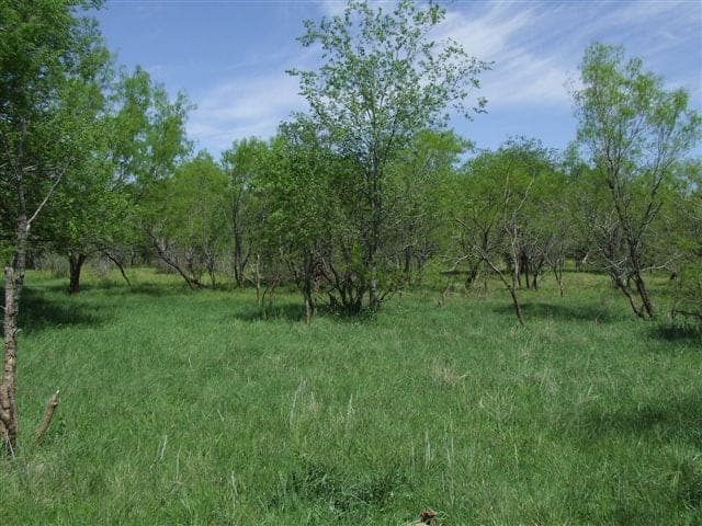 Overview of 379 acre hunting land in Haskell County, Texas