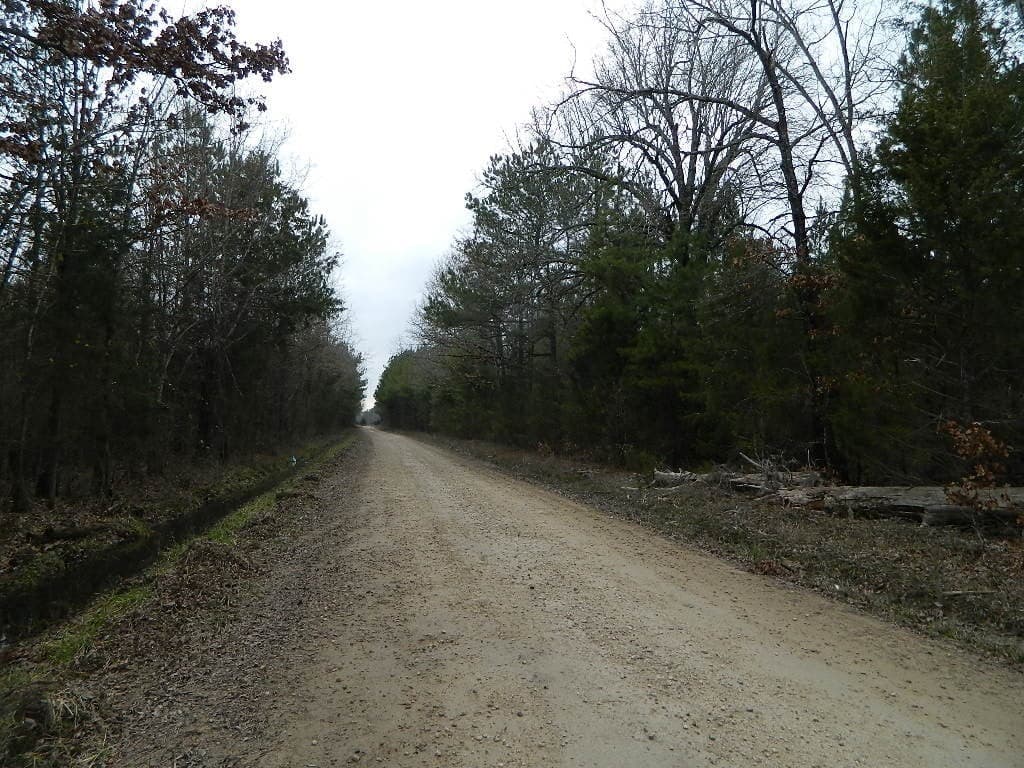 Overview of 9 acre timberland in Red River County, Texas
