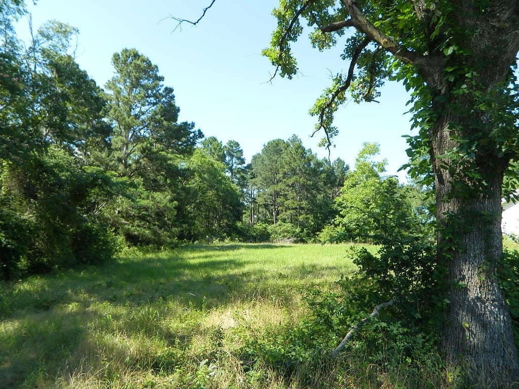 126.55 acre timberland in Wood County, Texas
