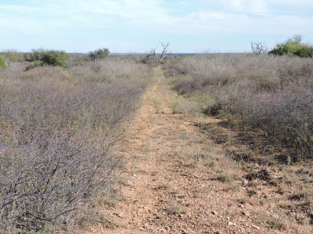 247 acre farm in Hardeman County, Texas