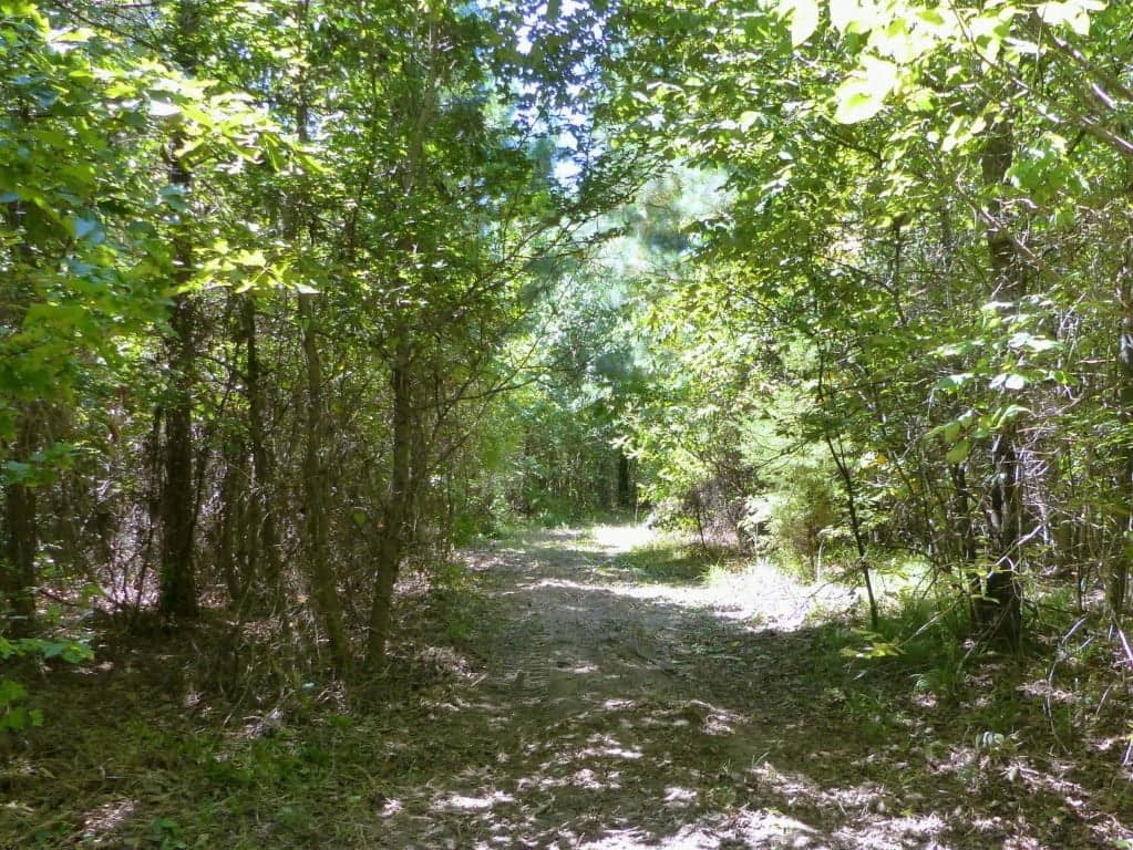 28 acre ranch in Titus County, Texas