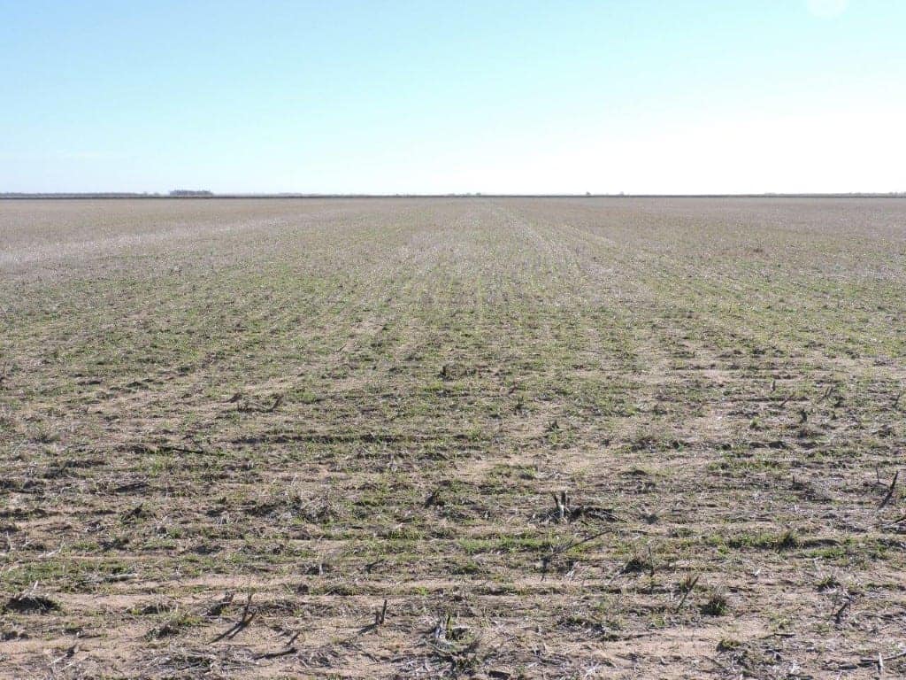 160 acre farm in Baylor County, Texas