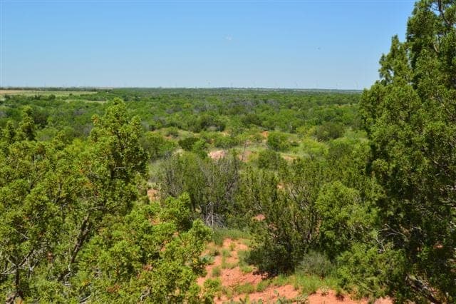 Overview of 598 acre hunting land in Baylor County, Texas