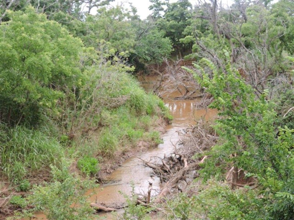 Overview of 156 acre farm in Wichita County, Texas