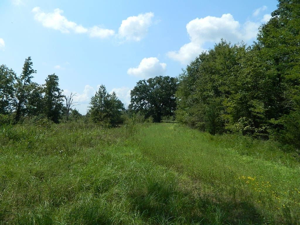 Overview of 134 acre ranch in Titus County, Texas