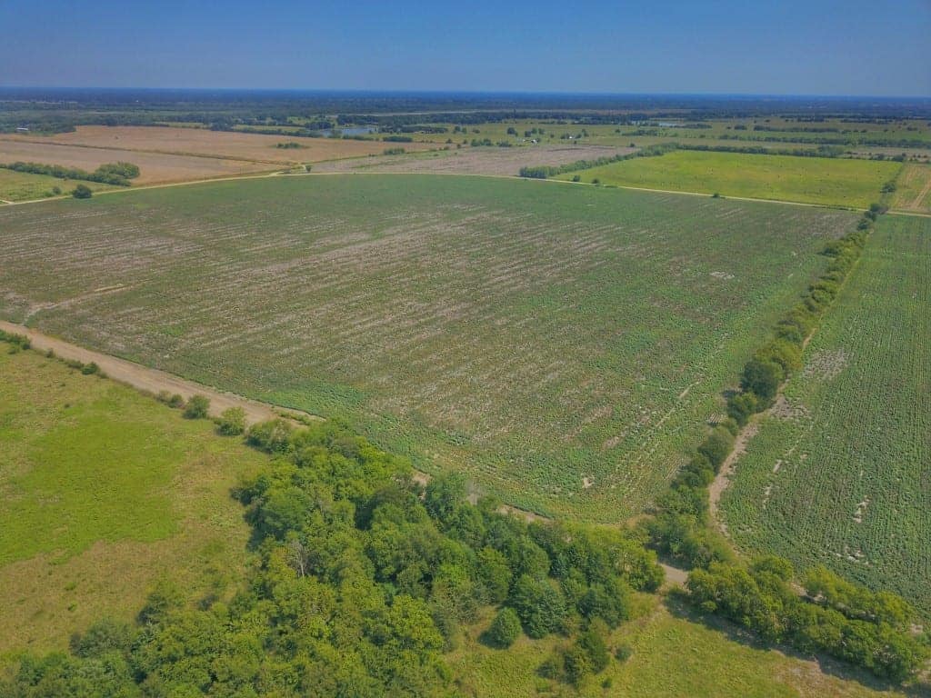 Delta County Texas land with cultivated fields