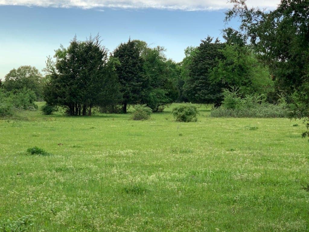 4 acre ranch in Franklin County, Texas