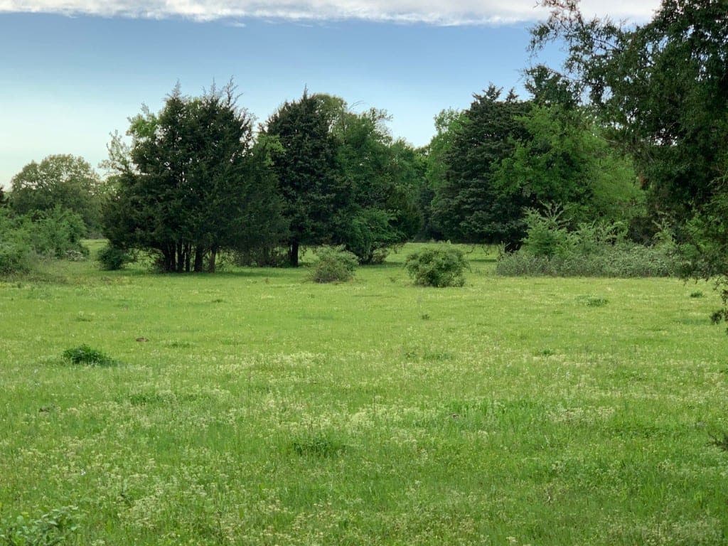 Overview of 4 acre ranch in Franklin County, Texas