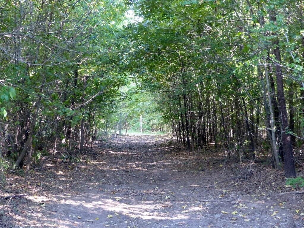 53 acre ranch in Titus County, Texas
