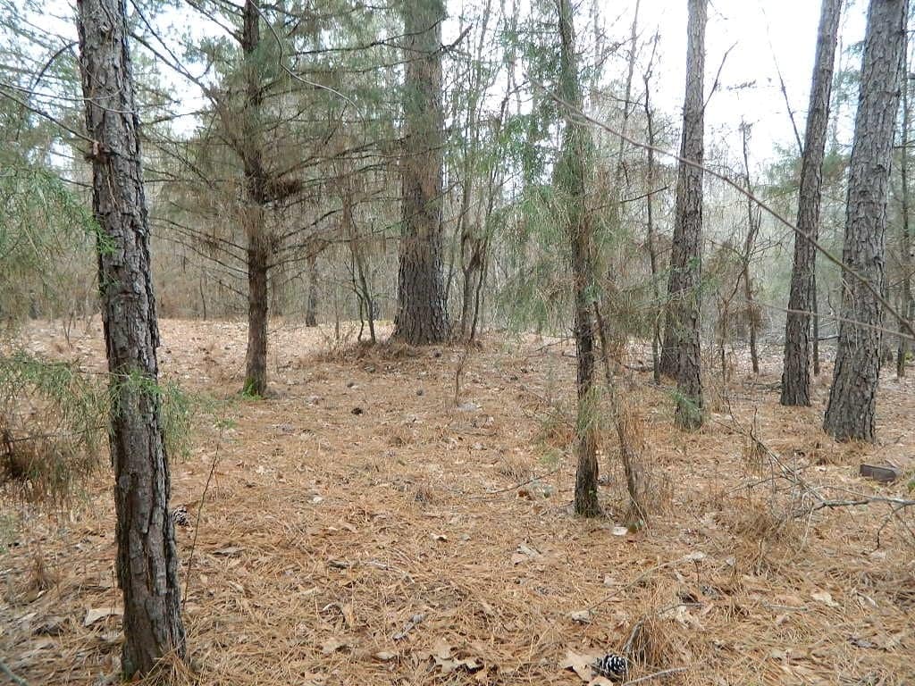 18.99 acre hunting land in Red River County, Texas