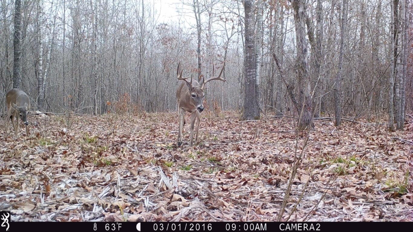 60 acre hunting land in Red River County, Texas