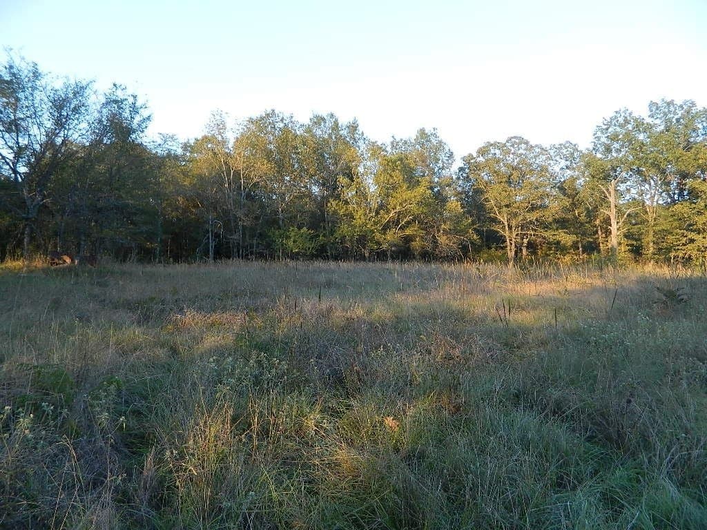 Overview of 70.58 acre ranch in Red River County, Texas