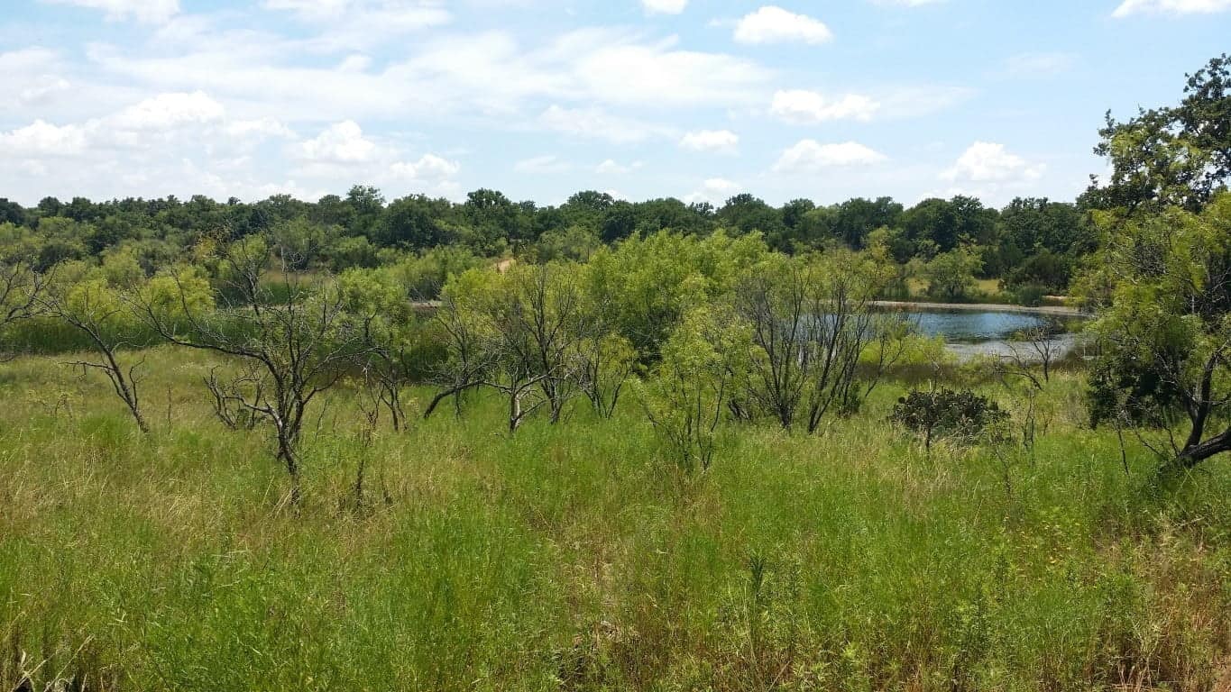 70 acre hunting land in Eastland County, Texas
