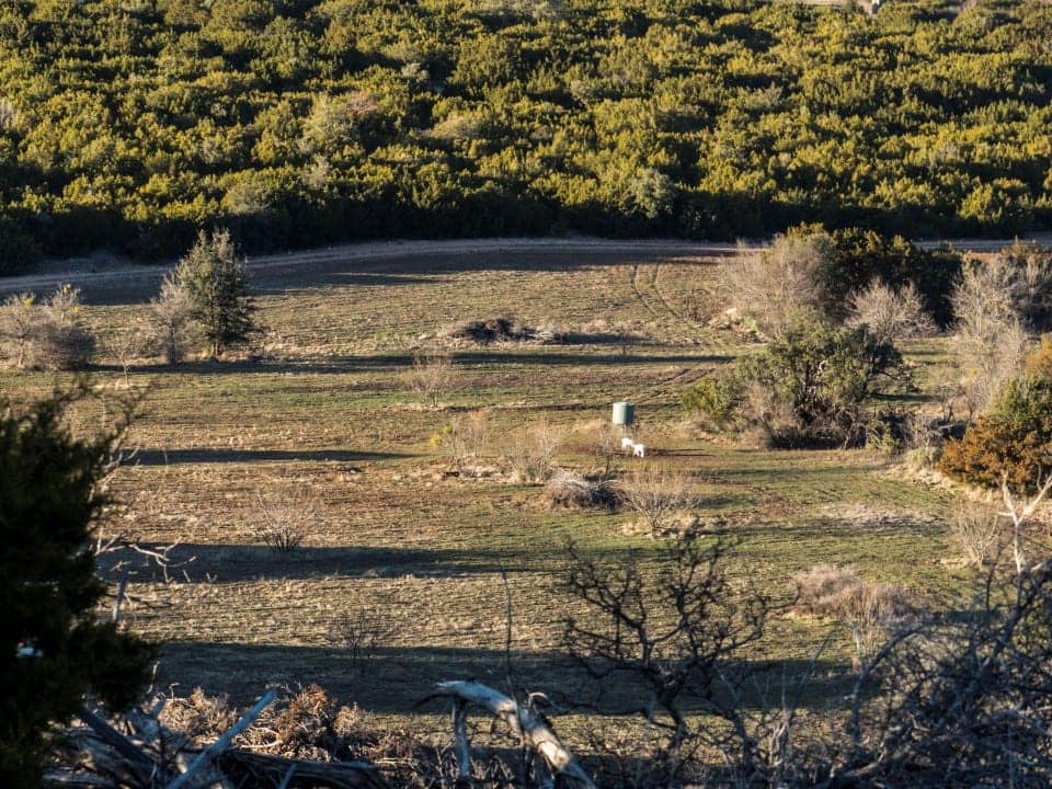 1,668 acre ranch in Runnels County, Texas