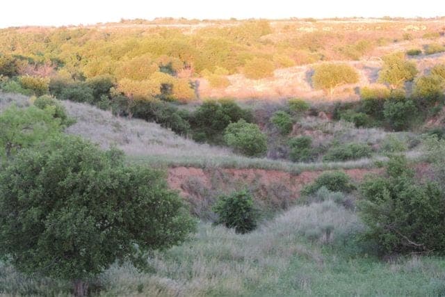 Overview of 270 acre hunting land in Wilbarger County, Texas