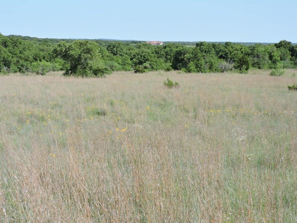 Parker County Texas land with oak cover