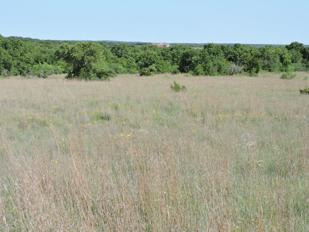 Overview of 79 acre ranch in Parker County, Texas